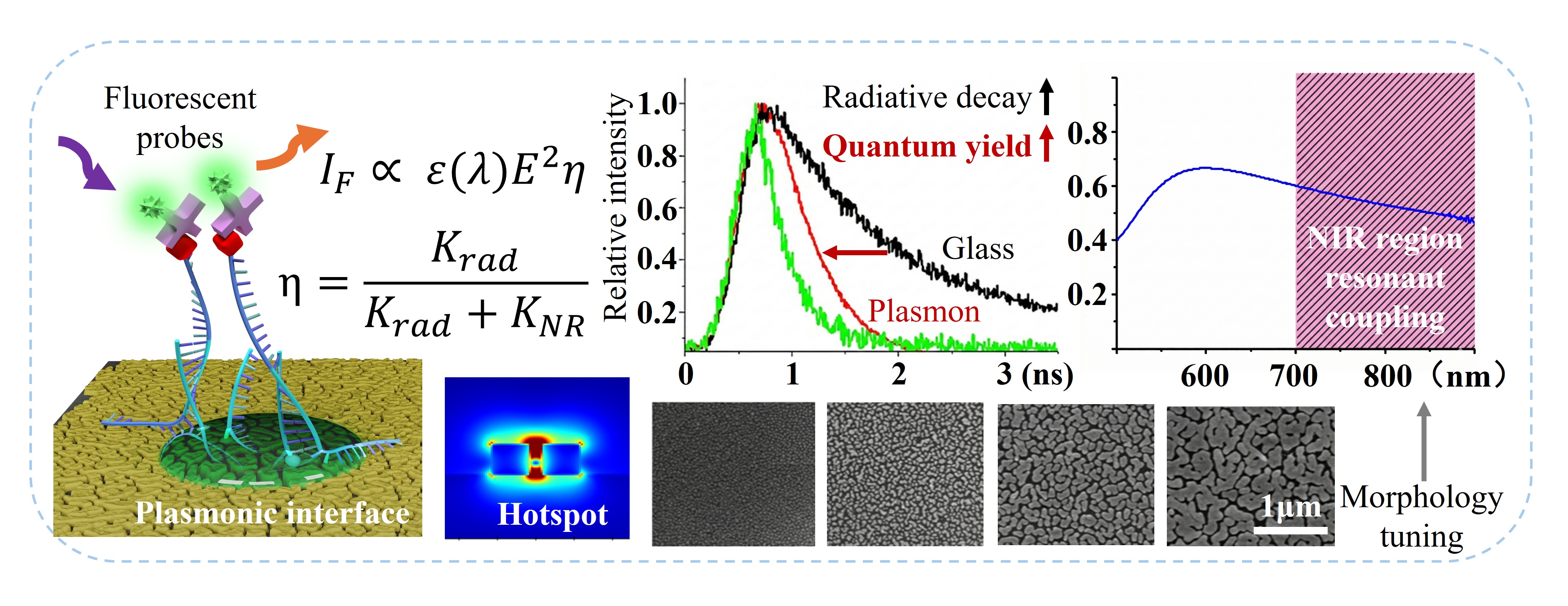 Signal Transduction — Luminescence Kinetic Regulation