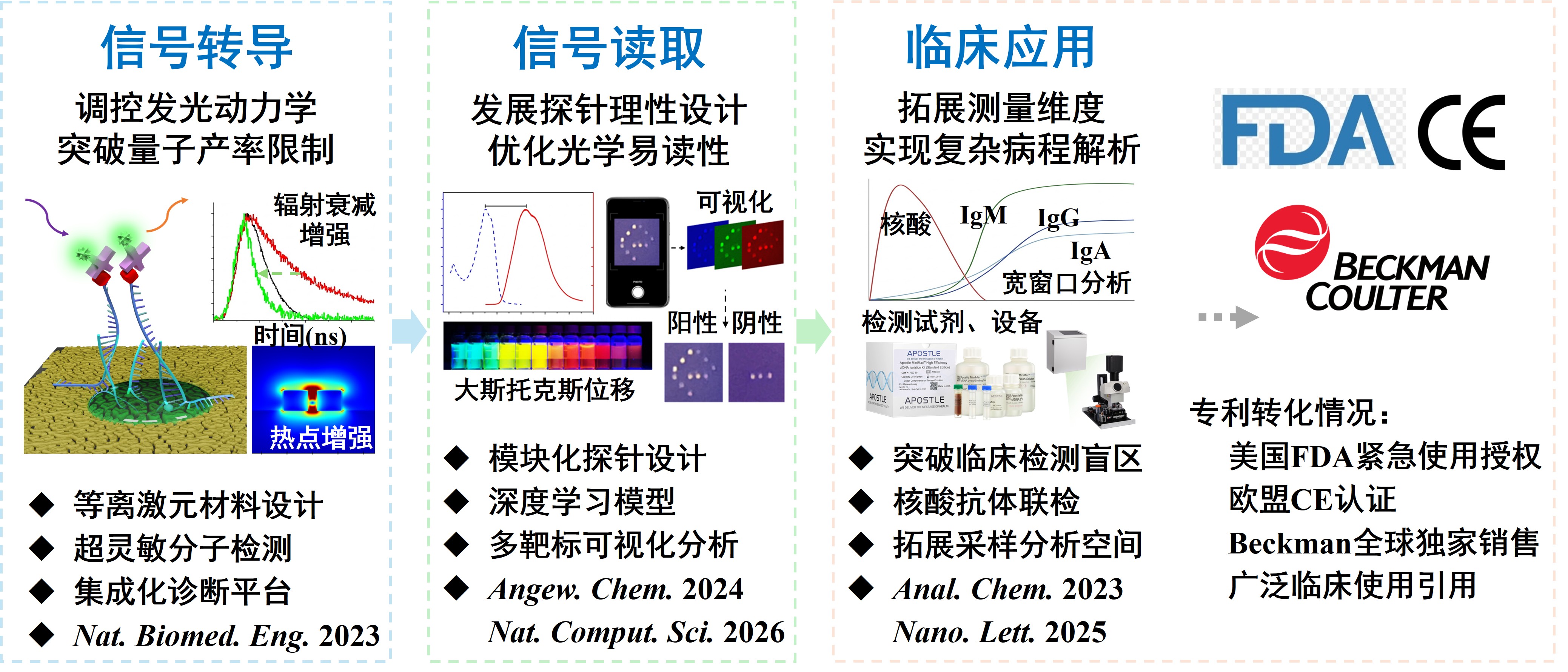 研究框架：从信号转导到临床应用